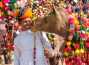 Camel and His Owner, Pushkar, India