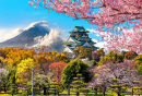 Osaka Castle, Cherry Blossom, Mount Fuji