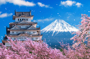 Monts Fuji et château, Japon