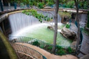 Waterfall in the Hotel