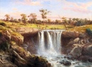 One of the Falls of the Wannon