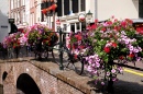 Holland: Flowers, Bikes and Bridges