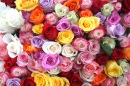 Roses from Paris
