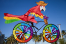 Parrot Cyclist