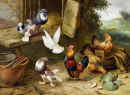 Chickens, a Dove and Pigeons in a Farmyard