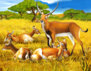 Antelopes in Kenya
