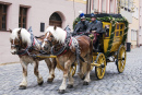 Horse Carriage in Nuremberg, Germany