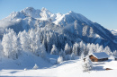 Winter Wonderland, Austrian Alps