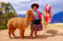 Peruvian Lady with her Alpacas