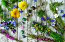 Herbs, Flowers and Crystals